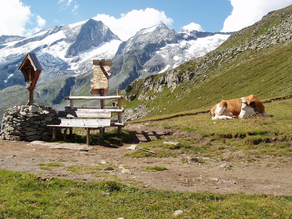 Vila Lenzerhof Lappago Exteriér fotografie
